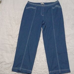 Blue Denim Wide-Leg Pants